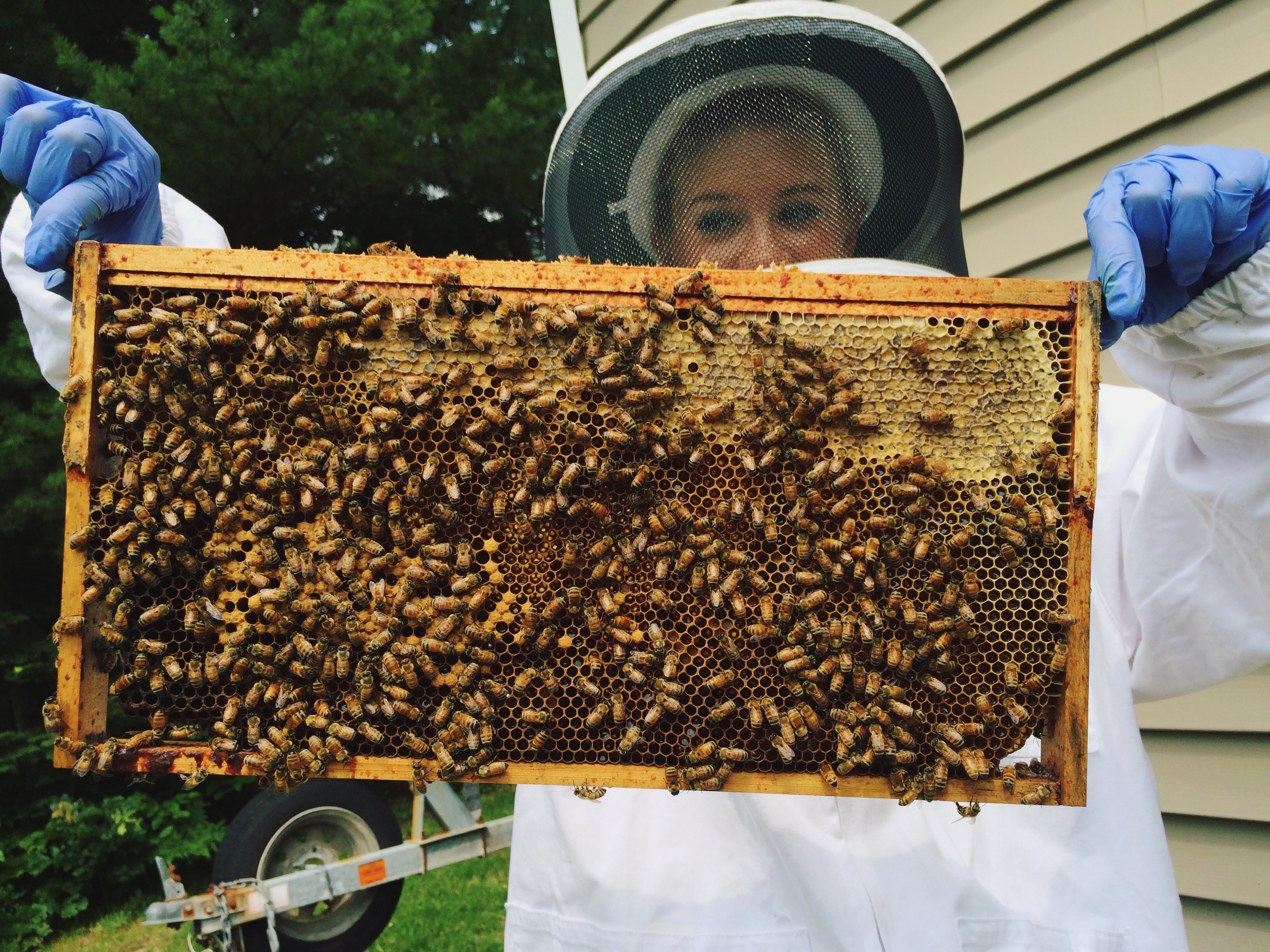 Kelsey lends a hand: Beekeeping at Backwoods Bee Farm ...
