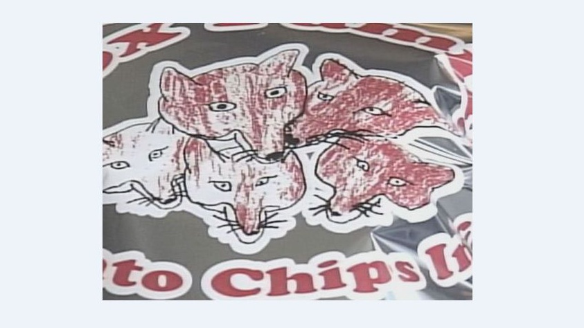 Fox Family Chips are Maine's best