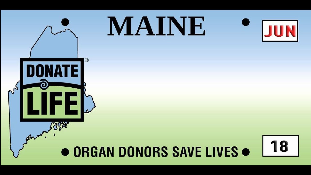 Family creates Donate Life license plate effort in honor of lost