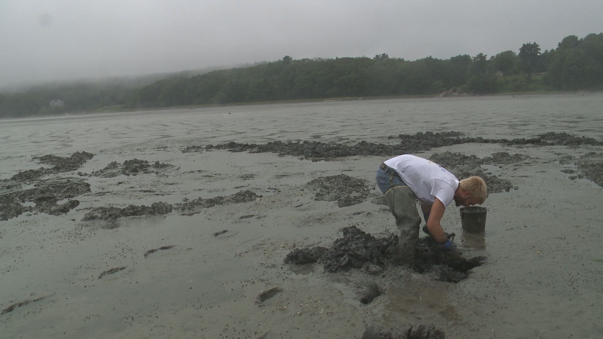 The ups and downs of the clamming industry