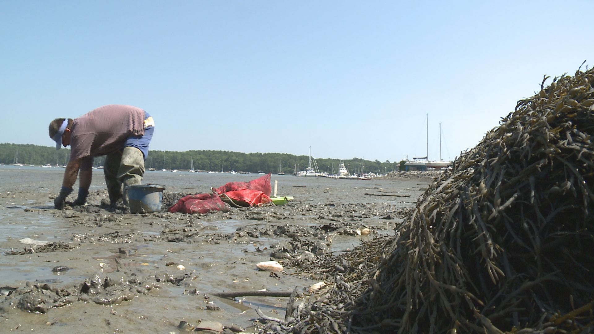 Rising home prices slowly gentrifying Maine's southern clamming