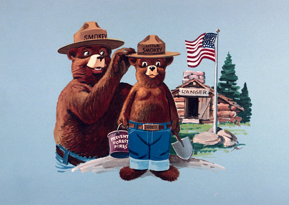 Did Smokey the Bear cause forest fires?