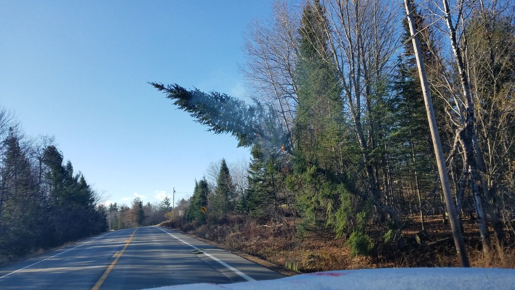 Gusting winds knock out power to thousands of Mainers | newscentermaine.com