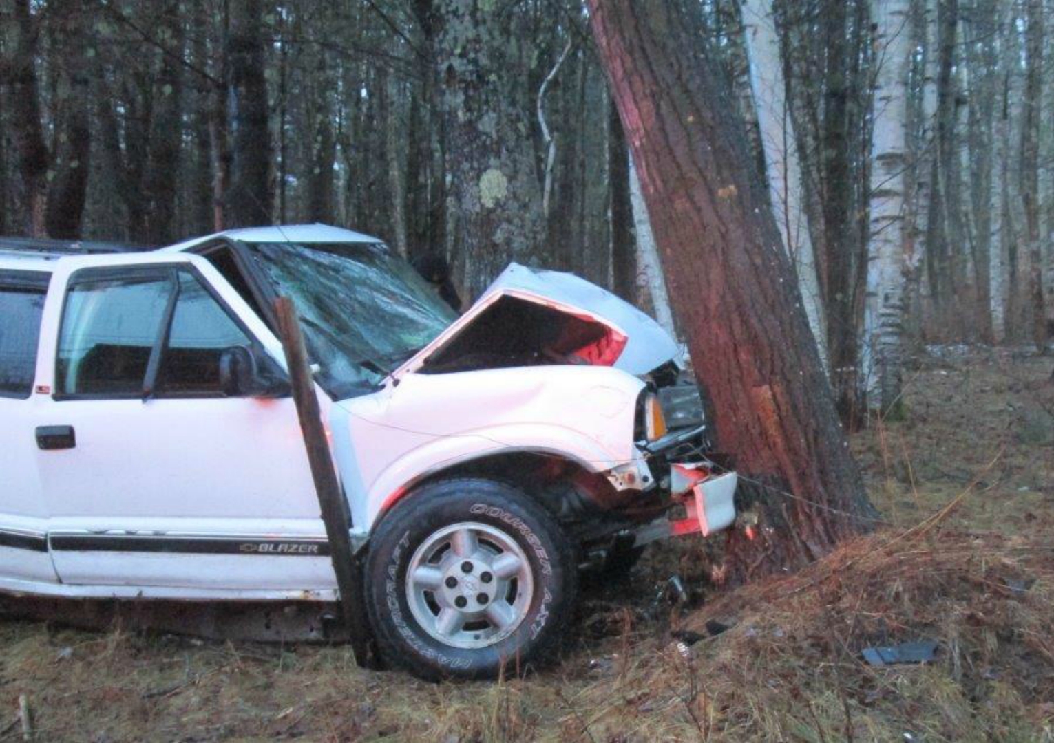 Driver dies in Litchfield crash